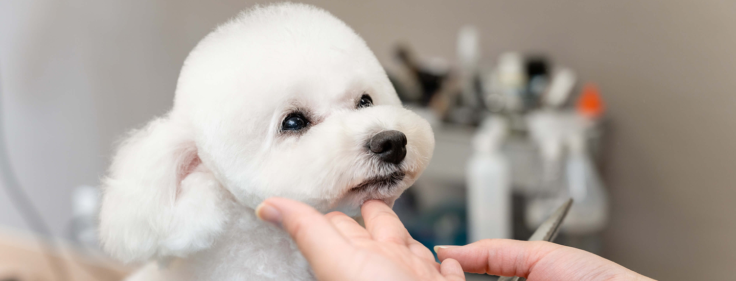 Trimming Salon the WAN